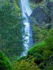 Oregon-Columbia River Gorge National Scenic Area-Starvation Creek Falls Landscape Print
